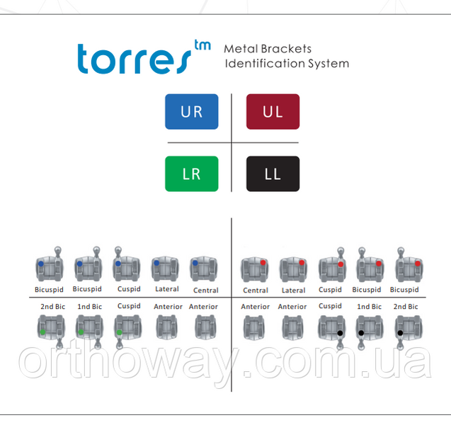 Брекеты металлические Werdenta (3,4,5 w/h Roth) Torres Mini